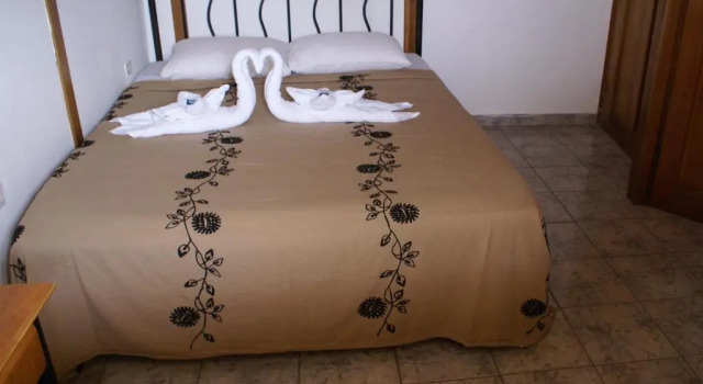 Двухместный номер Standard Hotel Posada Los Delfines