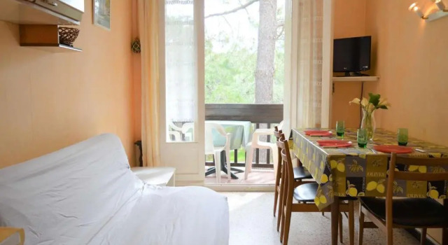 Appartement Argelès-sur-Mer, 2 pièces, 4 personnes - FR-1-225-68