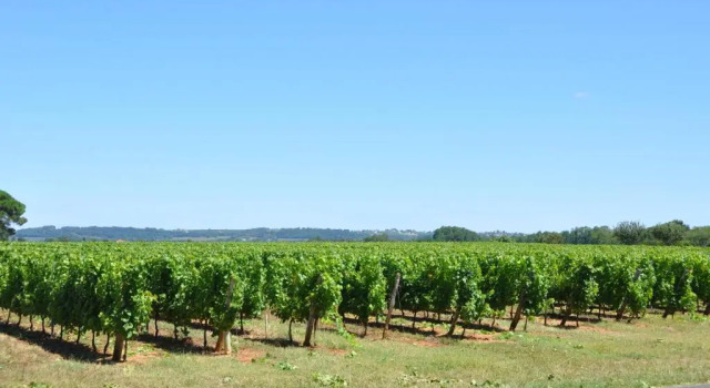 Люкс Chambre d'hôtes Sauternais