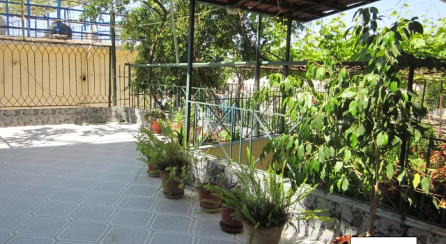 Студия Guest House and Tavern Leo
