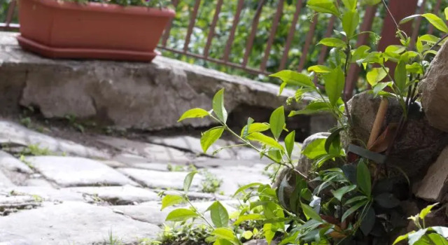 Canto del Fiume, Prenota Hotel Ortignano Raggiolo Toscana