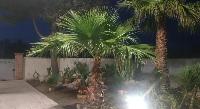 B&B HOUSE BEN, Забронировать Отель «постель и завтрак» Пунта-Прошутто Porto Cesareo Beaches