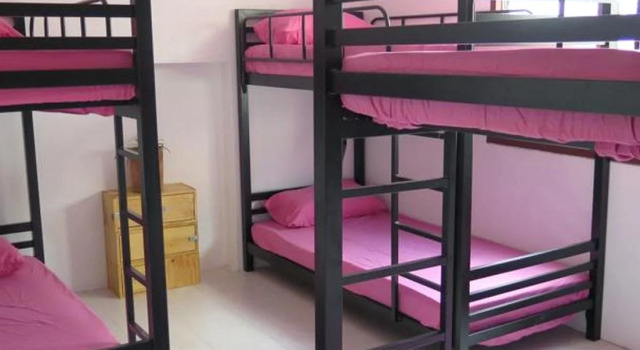Culture Club Backpackers - Hostel