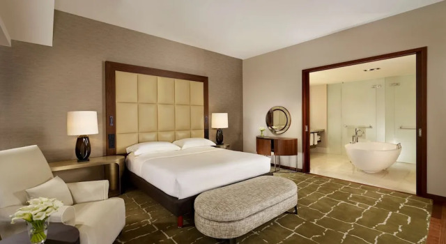 Люкс Ambassador с 2 спальнями Park Hyatt Zurich   City Center Luxury