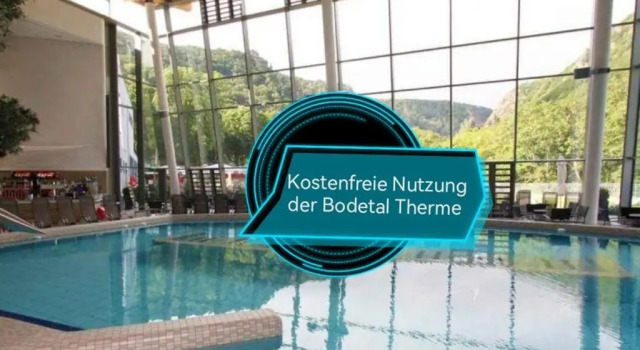 Двухместный номер Standard с балконом Hotelpark Bodetal mit Ferienwohnungen