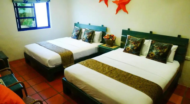 Номер Standard Sine Ya Hostel