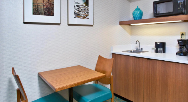 Двухместная студия Executive Springhill Suites by Marriott Chicago Elmhurst Oakbrook Area