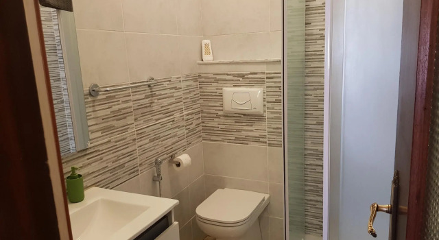 Graceful apartment