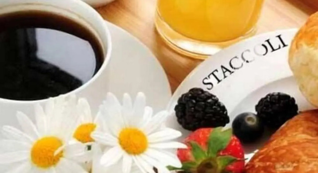 Номер Economy Hotel Staccoli