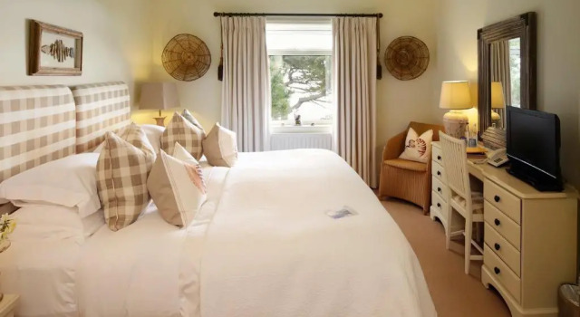 Standard huone Driftwood B&B