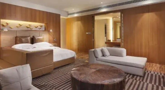Suite Superior Leida Hotel