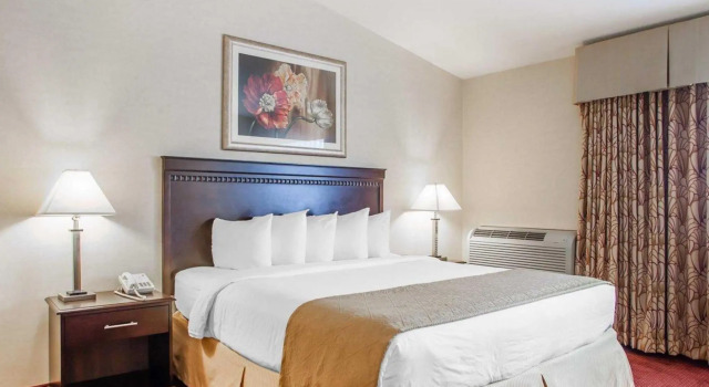 Номер Standard Red Roof Inn & Suites Mt Holly - McGuire AFB