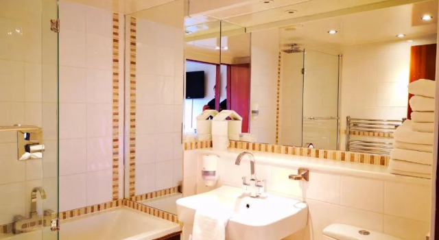 Номер Deluxe King Robert Hotel