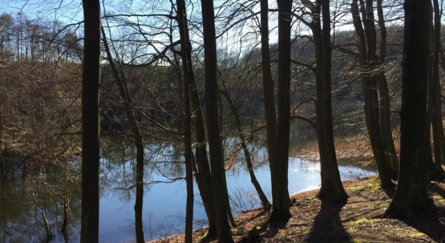 Коттедж Hof Uhleck am Königsstuhl