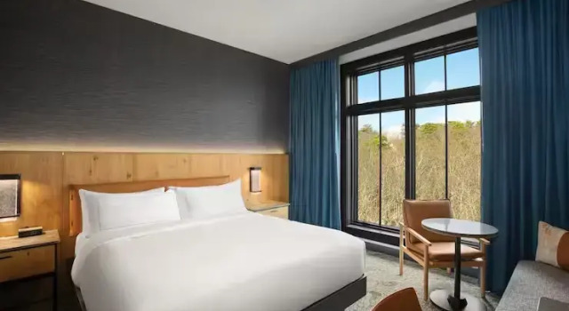 Номер Standard с красивым видом из окна Cloudland at McLemore Resort Lookout Mountain, Curio by Hilton