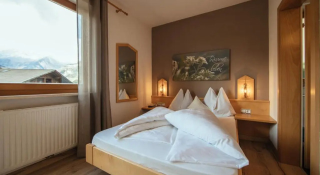 Двухместный номер Standard с видом на горы Hotel Wildschütz