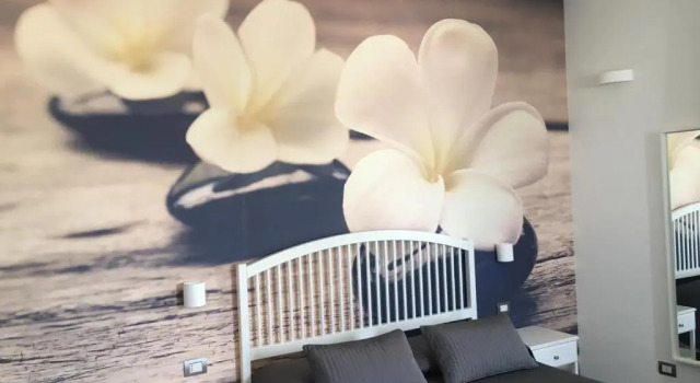 Standard Zimmer Bb Luna Rossa