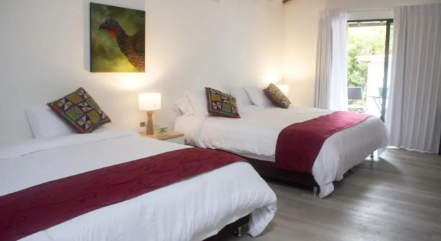Номер Deluxe Cotinga Hotel Spa