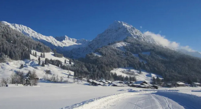 Апартаменты Holiday Apartment Hornerblick