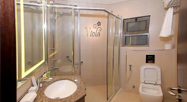 Полулюкс Deluxe Viola Hotel Suites