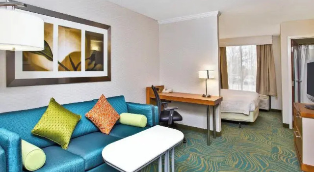 Люкс SpringHill Suites by Marriott Chicago Southwest at Burr Ridge Hinsdale
