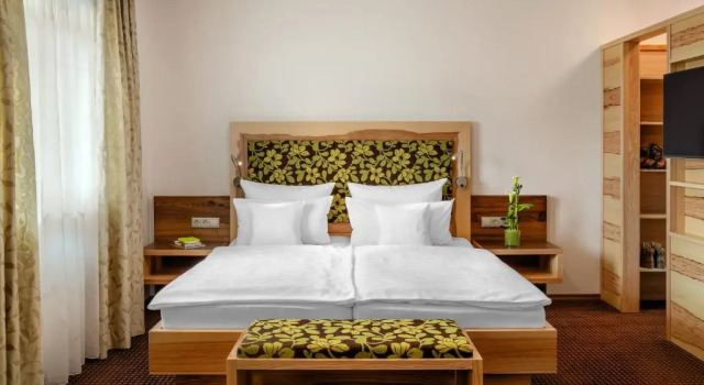 Номер Superior Hotel der Bäume