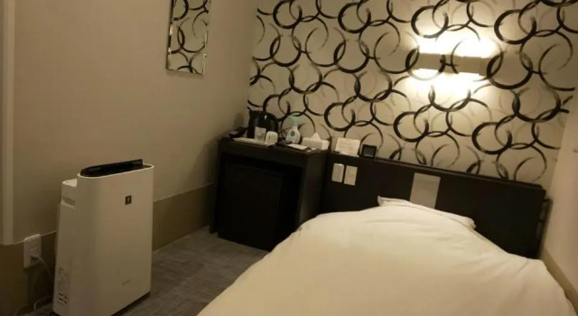 Одноместный номер Economy Ueno First City Hotel