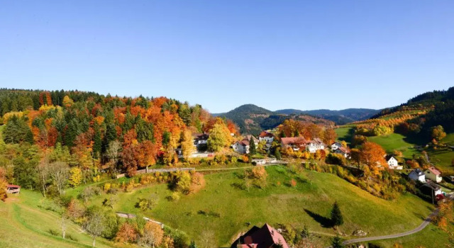Апартаменты Café Pension Waldfrieden