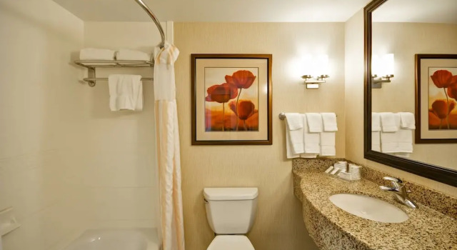 Номер Standard c 1 комнатой Hilton Garden Inn Tampa Riverview Brandon