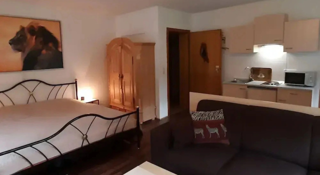 Enchanting Holiday Flat in the Harz Mountains