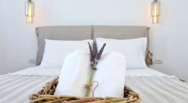 Номер Deluxe с балконом и с видом на море Aelia Mykonos
