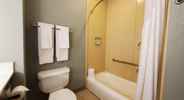 Четырёхместный люкс Holiday Inn Express Pearland by IHG