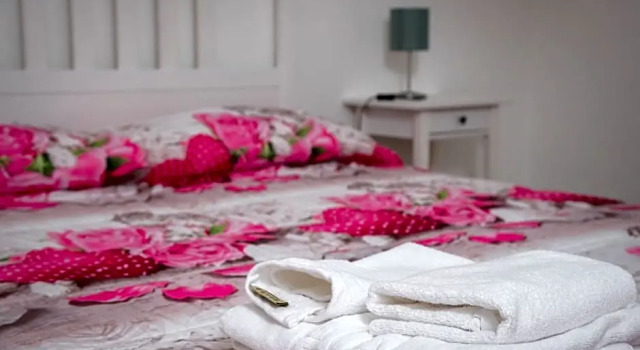 Interno 14