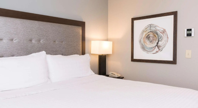 Двухместный люкс Homewood Suites by Hilton Bloomington