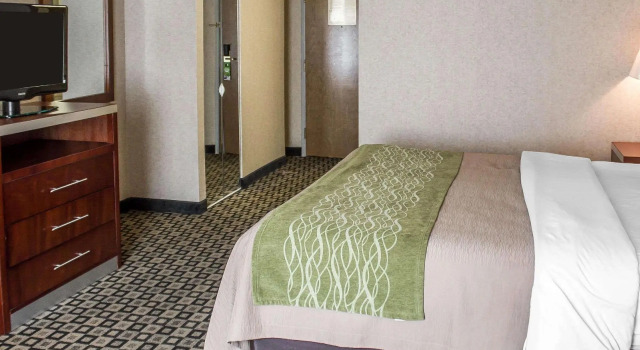 Standard Doppel Zimmer Quality Inn