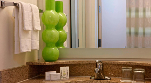 Двухместный люкс Fairfield Inn & Suites by Marriott Newark Liberty International Airport