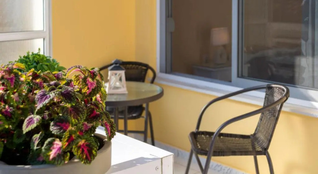 Студия Drosia Apartments