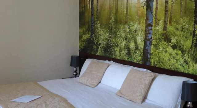 Номер Superior Waverley Hotel