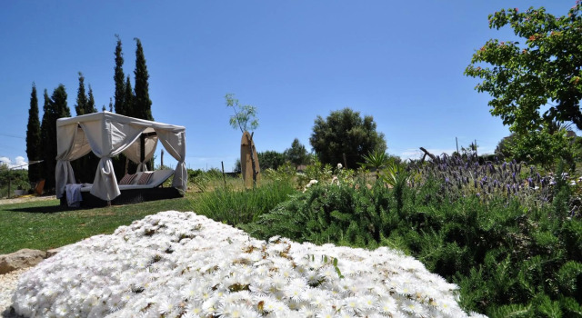 C277 Son Rubi by Mallorca Villa Selection, Book Hotel Inca Majorca
