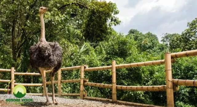 Eco Hotel Bosque Verde, Book Hotel Hoteller i Envigado med parkering, Parkering