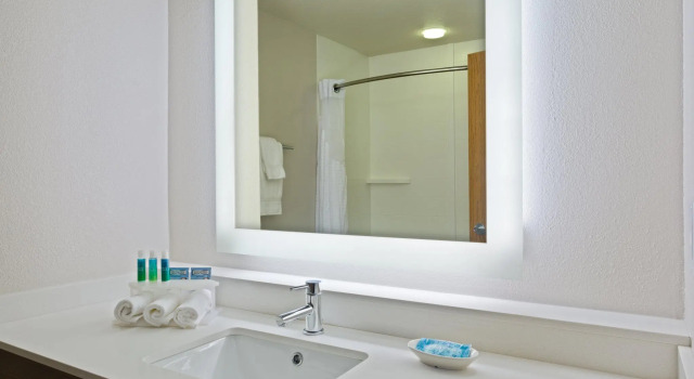 Номер Standard Holiday Inn Express & Suites Tavares by IHG