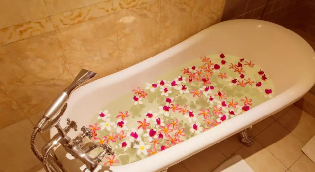 Двухместный номер Executive Seashells Millennium Hotel