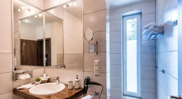 Одноместный номер Deluxe Hotel Allegro