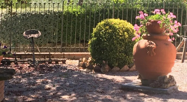 Коттедж с 2 комнатами La Villa Del Cedro