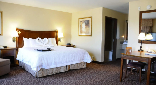 Двухместный люкс Hampton Inn & Suites Red Bluff