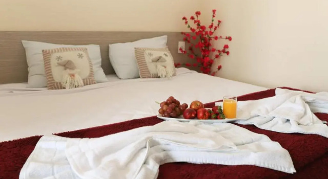 Двухместный номер Standard Hotel Terra Preta