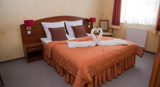 Двухместный номер Deluxe Hotel i Restauracja Borowianka