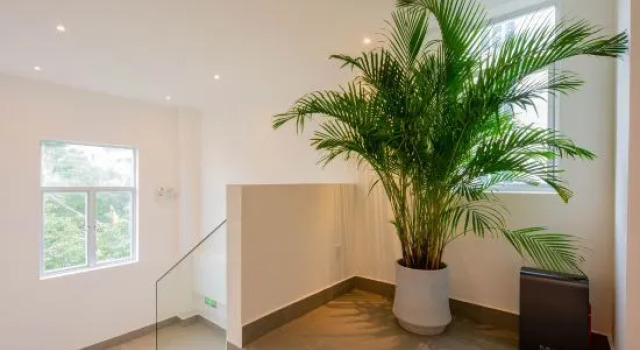 White House Shenzhen Nan'ao Beach Seaview guesthouse