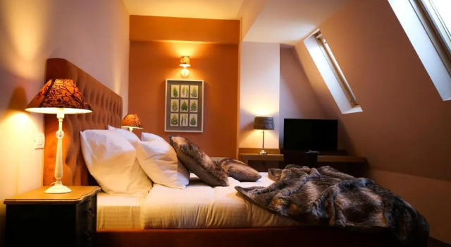 Двухместный номер Standard Paj Hotelul Retreat & Spa