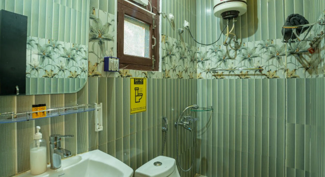 Двухместный номер Deluxe с балконом The Hosteller Kasol